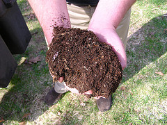 Hand full of compost