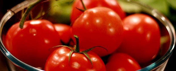 Bowl of Beautiful Tomatoes