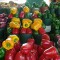 Variety of Bell Peppers