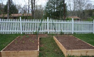 Two Raised Beds