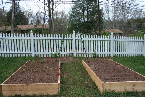 Two Raised Beds