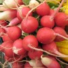 Picture of Radishes.