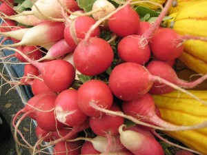 Picture of Radishes.