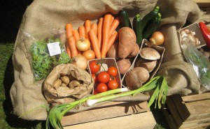 Box of Vegetables