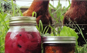 Two jars of pickled food